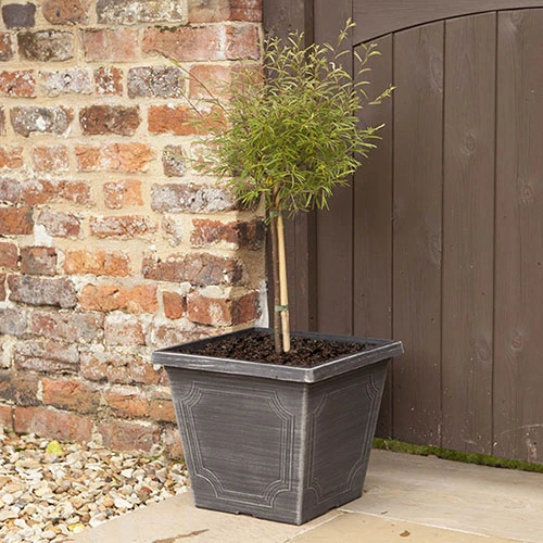 Classic 'Estate' Square Planter 1 Classic 'Estate' Square Planter