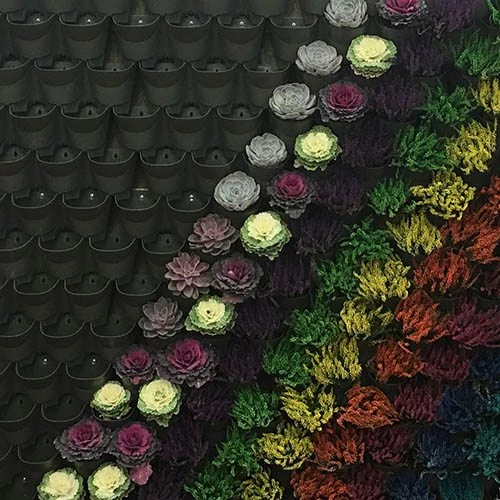 WonderWall Vertical Growing System - 4 Sections 1 WonderWall Vertical Growing System - 4 Sections