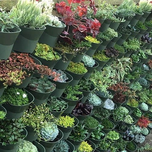 WonderWall Vertical Growing System - 4 Sections 7 WonderWall Vertical Growing System - 4 Sections - Image 7