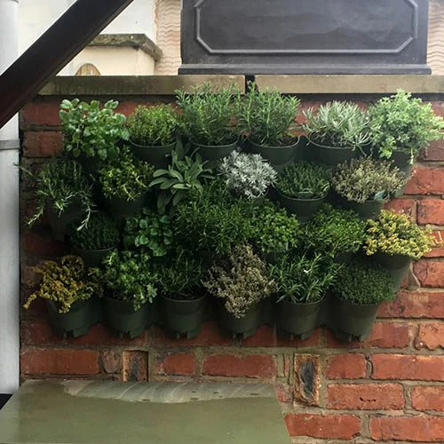 WonderWall Vertical Growing System - 10 Sections 4 WonderWall Vertical Growing System - 10 Sections - Image 4