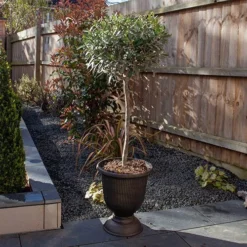 Black And Bronze Vertical Urn 5 Black And Bronze Vertical Urn -Verdant Vibes Zone 130271 2