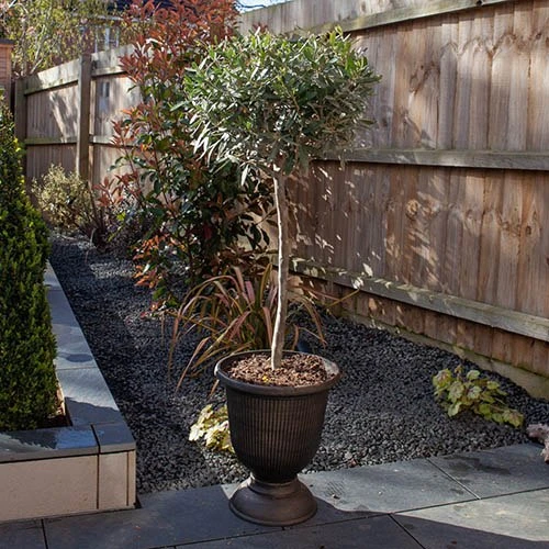 Black And Bronze Vertical Urn 3 Black And Bronze Vertical Urn - Image 3