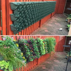 WonderWall - Single Section 11 WonderWall - Single Section -Verdant Vibes Zone 130427 2