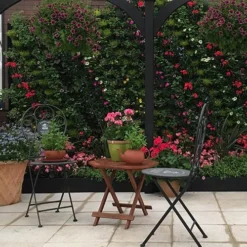 WonderWall - Single Section 16 WonderWall - Single Section -Verdant Vibes Zone 130427 7