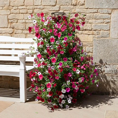 Tower Planter And Trellis 4 Tower Planter And Trellis - Image 4