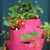 Strawberry And Herb Patio Planter Twin Pack