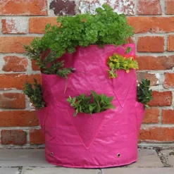 Strawberry And Herb Patio Planter Twin Pack 7 Strawberry And Herb Patio Planter Twin Pack -Verdant Vibes Zone 130497 2