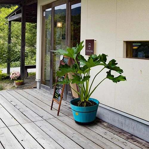 Build Your Own Barrel Kit ? Powder Blue 2 Build Your Own Barrel Kit ? Powder Blue - Image 2