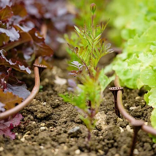 Flopro Beds & Borders Watering Kit 2 Flopro Beds & Borders Watering Kit - Image 2