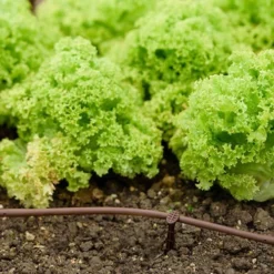 Flopro Beds & Borders Watering Kit 7 Flopro Beds & Borders Watering Kit -Verdant Vibes Zone 161002 2