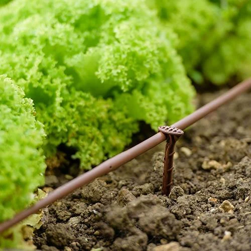 Flopro Beds & Borders Watering Kit 4 Flopro Beds & Borders Watering Kit - Image 4