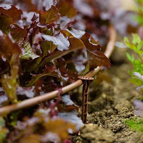 Flopro Beds & Borders Watering Kit 5 Flopro Beds & Borders Watering Kit - Image 5