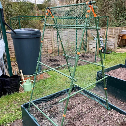 Heavy Climbing Plant Frame 1 Heavy Climbing Plant Frame