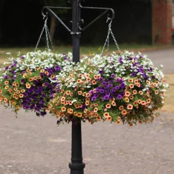 'Fruit Salad' Pre-Planted Basket 6 'Fruit Salad' Pre-Planted Basket -Verdant Vibes Zone 450013 2