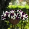 Preplanted 'Cool Wave Berries & Cream' Rattan Basket