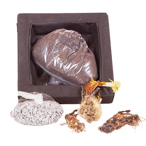 Floating Pond Plant Raft 4 Floating Pond Plant Raft - Image 4