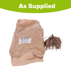 Mixed Dahlias - Hybridisers Mix -Verdant Vibes Zone 630005 2