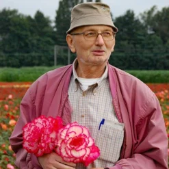 Belgian Giant Flowered Upright Begonias 9 Belgian Giant Flowered Upright Begonias -Verdant Vibes Zone 630192 4