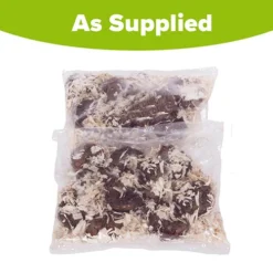 Belgian Giant Begonias - 10 Upright And 10 Trailers 17 Belgian Giant Begonias - 10 Upright And 10 Trailers -Verdant Vibes Zone 630194 8