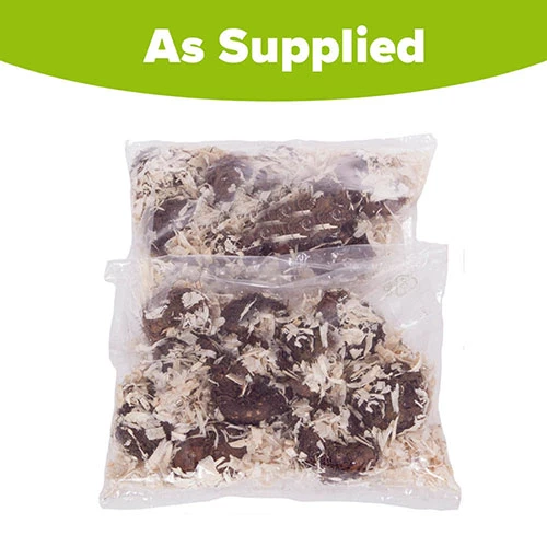 Belgian Giant Begonias - 10 Upright And 10 Trailers 9 Belgian Giant Begonias - 10 Upright And 10 Trailers - Image 9